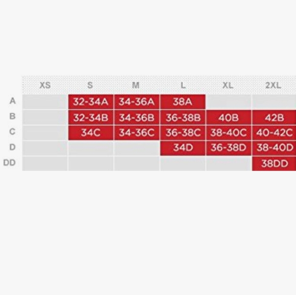 Wired Sports Bra - Picture 4 of 4